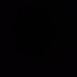 Meet your Posher, Annabel